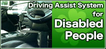 Driving Assist System